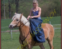 1AMAZONE- 0384